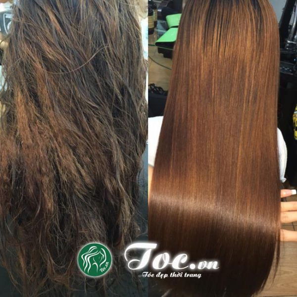Tóc.vn - Chuyên gia hàng đầu về Phục hồi tóc hư tổn, tóc nát